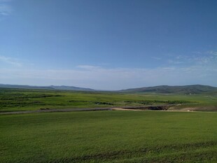 广袤绿野 蓝天远山之景