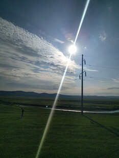 草原上的阳光与电线杆