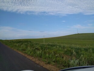 公路旁的绿色田野风光