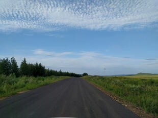 乡间公路 蓝天绿树相伴