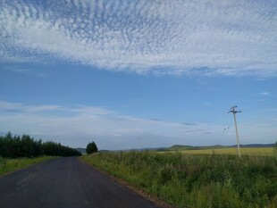 乡间公路 蓝天白云绿野