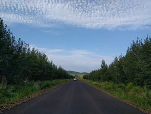 乡间公路 绿树蓝天相伴
