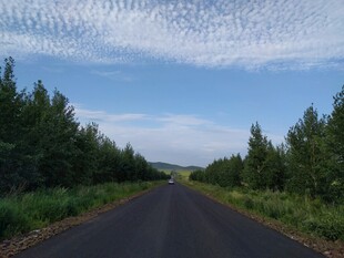 林间公路 蓝天绿树美景