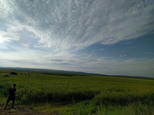 草原上的开阔天空与行人