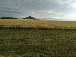 广袤田野与远处山丘