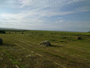 草原上的圆形草垛景观