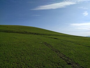 广袤绿原上的蓝天美景