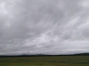阴云笼罩的广袤草原