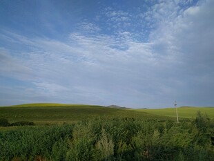 广袤绿野上的蓝天白云