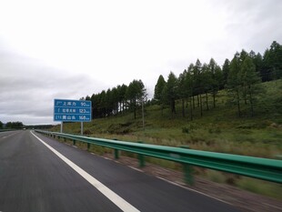 公路风景 路旁绿树与指示牌