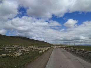 旷野中的蜿蜒公路