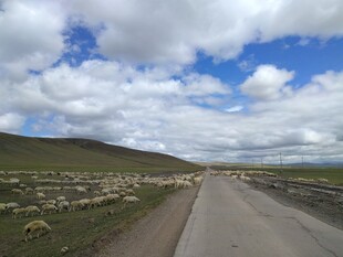 草原公路 通向远方的路