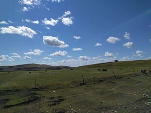 草原蓝天美景