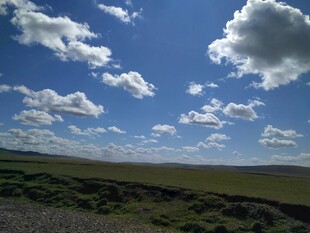 蓝天白云下的广袤原野