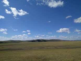 辽阔草原蓝天白云美景