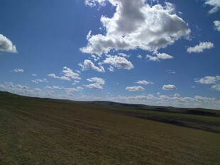 广阔草原上的蓝天白云