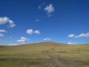 草原旷野中的蜿蜒小路
