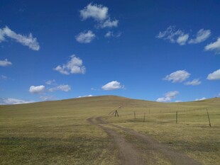 草原土路 蓝天白云美景
