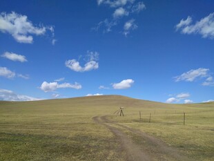 草原旷野中的蜿蜒小路