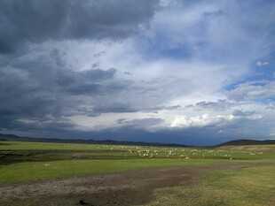 草原上的多云天空景观