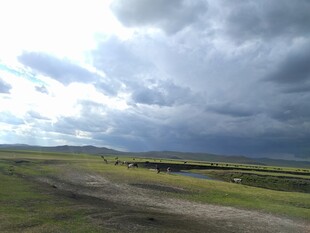 草原上的乌云密布景观