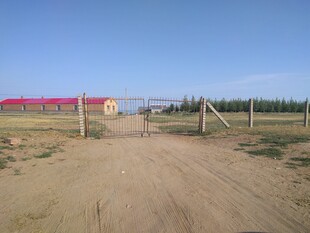 乡村土路与围栏场景