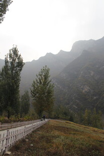 山间公路旁的朦胧山林景色