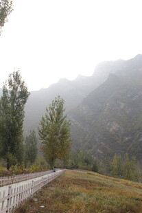 山间雾景 静谧自然小道