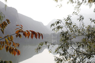 雾中湖畔秋景