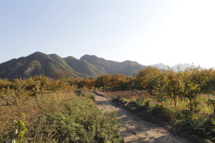山间小径 秋色中的自然美景
