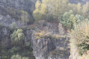 山间峭壁旁的多彩植被
