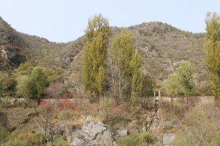 山间村落风光