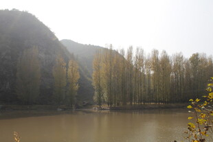 湖畔树林秋景