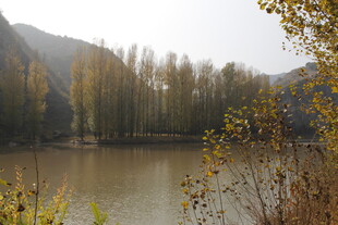 秋日湖畔风景