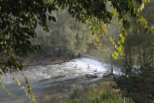 林间溪流 自然光影之美