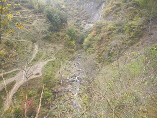 山间蜿蜒小路与茂密植被