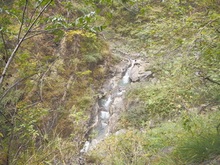 山间溪流穿林而过