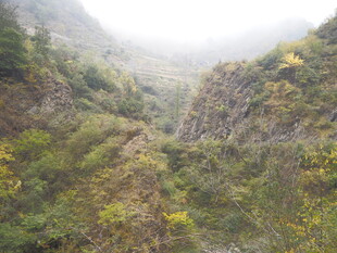 山间峡谷绿意盎然景色美