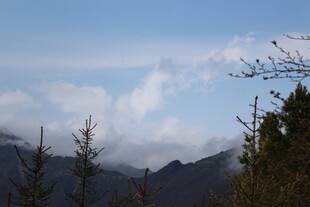 山间云景 树木点缀