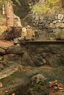 山间清幽小潭 自然景致