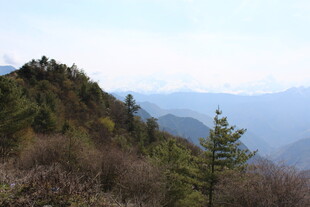 山间景色 绿意盎然的山林