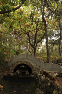 林间石拱桥 静谧自然景