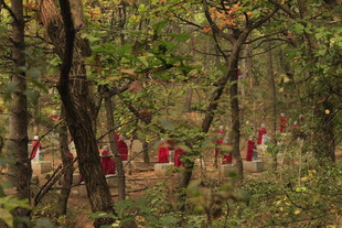 林间红衣队伍穿行