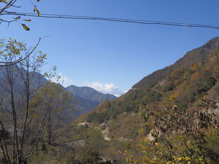 山间秋景 远峰近树