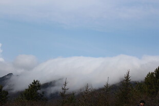 山间云雾缭绕的美丽景致