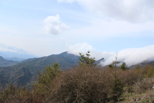 山间景致 云雾缭绕的自然美