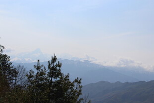 山峦与树木的自然景致
