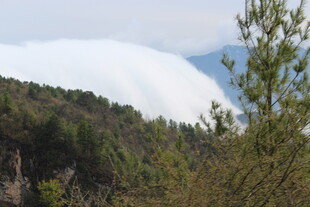 山林景致 云雾缭绕