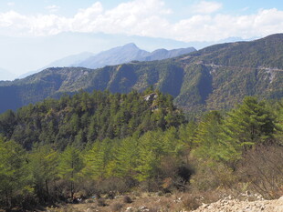 山间绿意盎然的秀丽景致