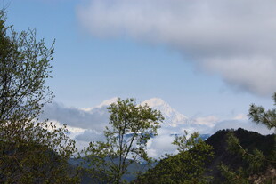 山间云景 绿意与远山相映